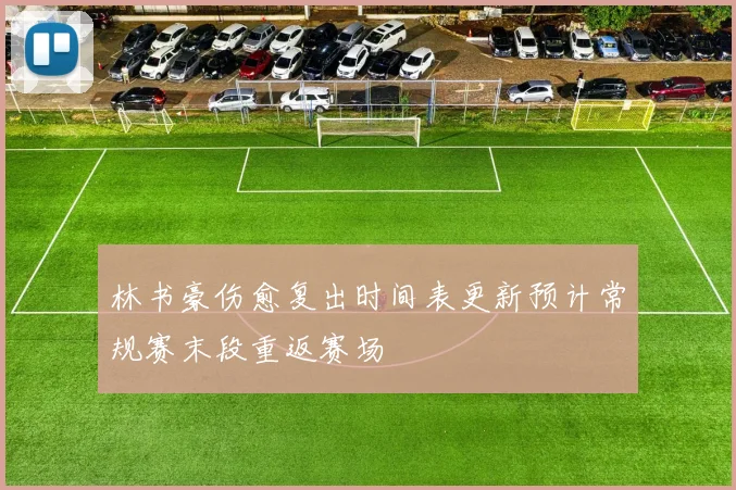 林书豪伤愈复出时间表更新预计常规赛末段重返赛场