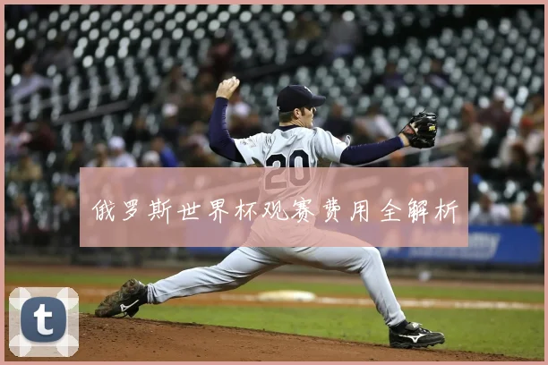 俄罗斯世界杯观赛费用全解析