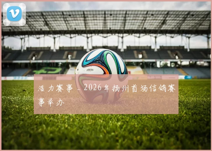 活力赛事 _ 2026年扬州首场信鸽赛事举办