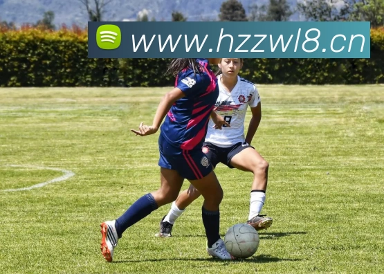 完美体育唯一官网APP 封面图